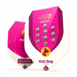 KALI DOG Féminisées - Royal Queen Seeds