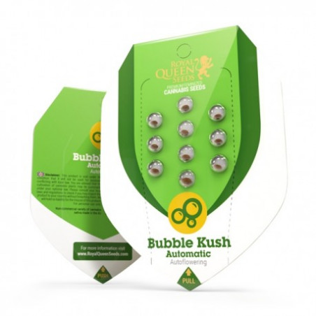 BUBBLE KUSH Autofloraisons - Royal Queen Seeds