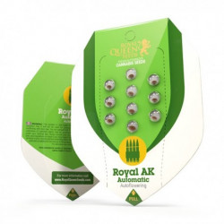 ROYAL AK Autofloraisons - Royal Queen Seeds