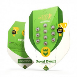 ROYAL DWARF Autofloraisons- Royal Queen Seeds