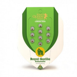 ROYAL GORILLA Autofloraisons - Royal Queen Seeds
