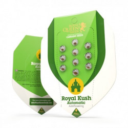 ROYAL KUSH Autofloraisons -Royal Queen Seeds