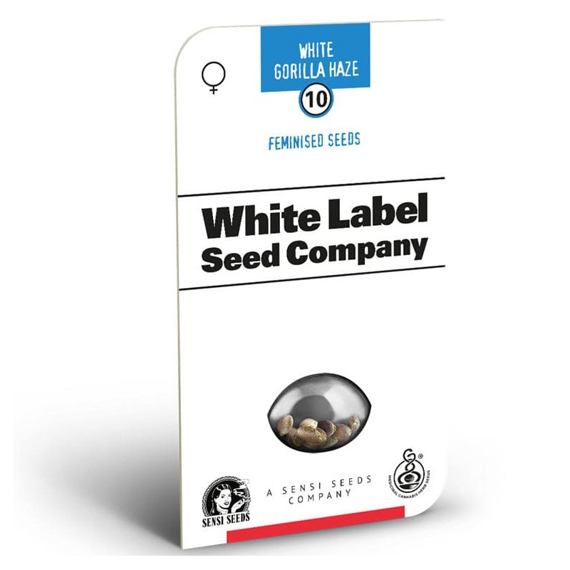 WHITE GORILLA HAZE Féminisées - WHITE LABEL - Graines de Cannabis Féminisées