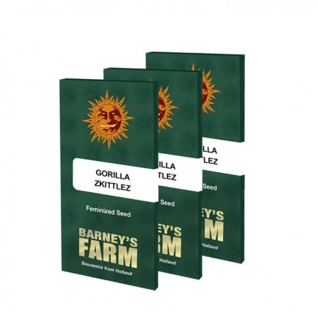 GORILLA ZKITTLEZ Féminisées - BARNEY'S FARM - Graines de Cannabis Féminisées