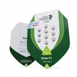 Orion F1 Hybrides - Graines de Cannabis Hybrides F1 Autofloraisons - Royal Queen Seeds