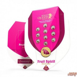 FRUIT SPIRIT Féminisées - Royal Queen Seeds
