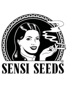 Sensi Seeds Bank