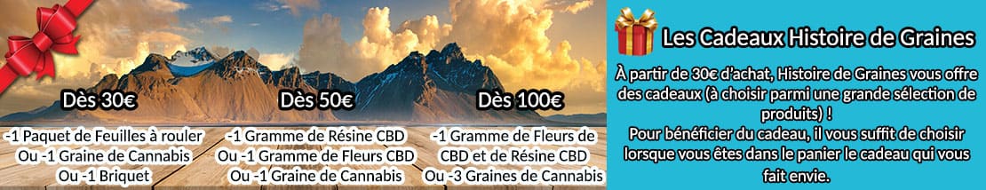 A partir de 30€ TTC d'achat (Hors Frais de Port), recevez une ou plusieurs Graines de Cannabis offerte(s), du papier à rouler, un briquet, de la Fleur de CBD ou de la Résine CBD gratuites, selon les stocks disponibles.