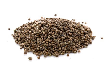 Graines de Cannabis, graines de Chanvres ou Chènevis sont les différents noms d'une même graine : celle du Cannabis Sativa et/ou Indic