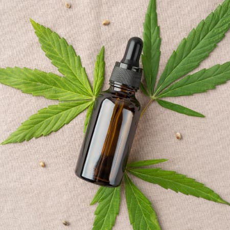 Le Chanvre (Cannabis sativa) est utilisé entre autres pour l'extraction du CBD, un cannabinoïde très en vogue pour soulager douleurs physiques et psychiques
